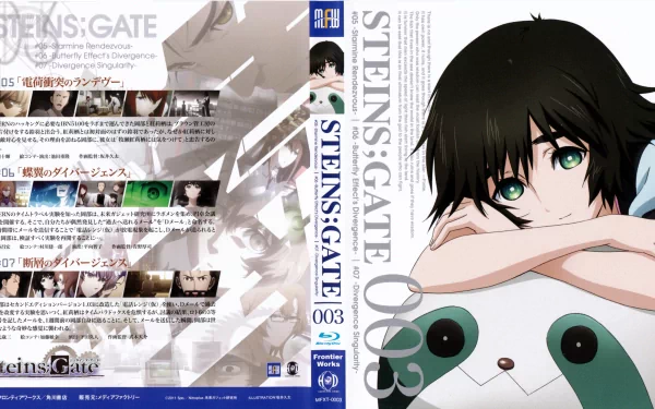 Anime-themed 4K Ultra HD PC desktop wallpaper featuring a character from Steins;Gate with dark hair and green eyes resting on a plush toy.