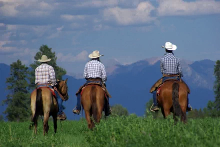 photography horse riding HD Desktop Wallpaper | Background Image