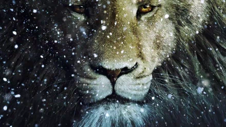 A striking close-up of a lion’s face, surrounded by falling snowflakes, captures the essence of dawn in The Chronicles of Narnia: The Voyage of the Dawn Treader, serving as an engaging HD desktop wallpaper.