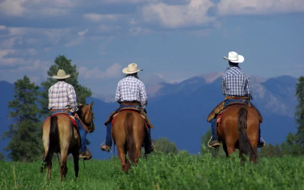 photography horse riding HD Desktop Wallpaper | Background Image