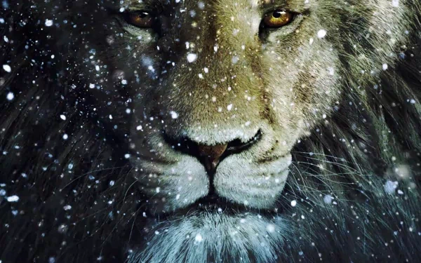 A striking close-up of a lion’s face, surrounded by falling snowflakes, captures the essence of dawn in The Chronicles of Narnia: The Voyage of the Dawn Treader, serving as an engaging HD desktop wallpaper.