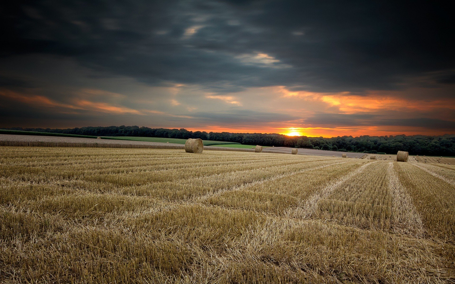Golden Horizon: Stunning HD Nature Field at Sunset | 1920x1200 ...