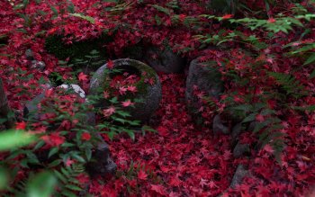 HD Wallpaper | Background Image ID:346331