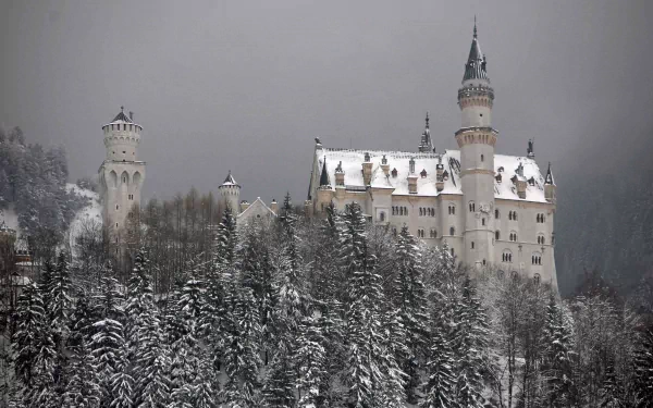 Snow-covered Neuschwanstein Castle stands majestically among trees, set against a gray sky. This stunning image serves as a 4K Ultra HD desktop wallpaper and background.