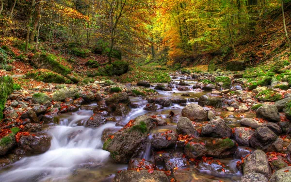 nature stream HD Desktop Wallpaper | Background Image