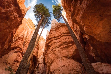 nature Bryce Canyon National Park HD Desktop Wallpaper | Background Image