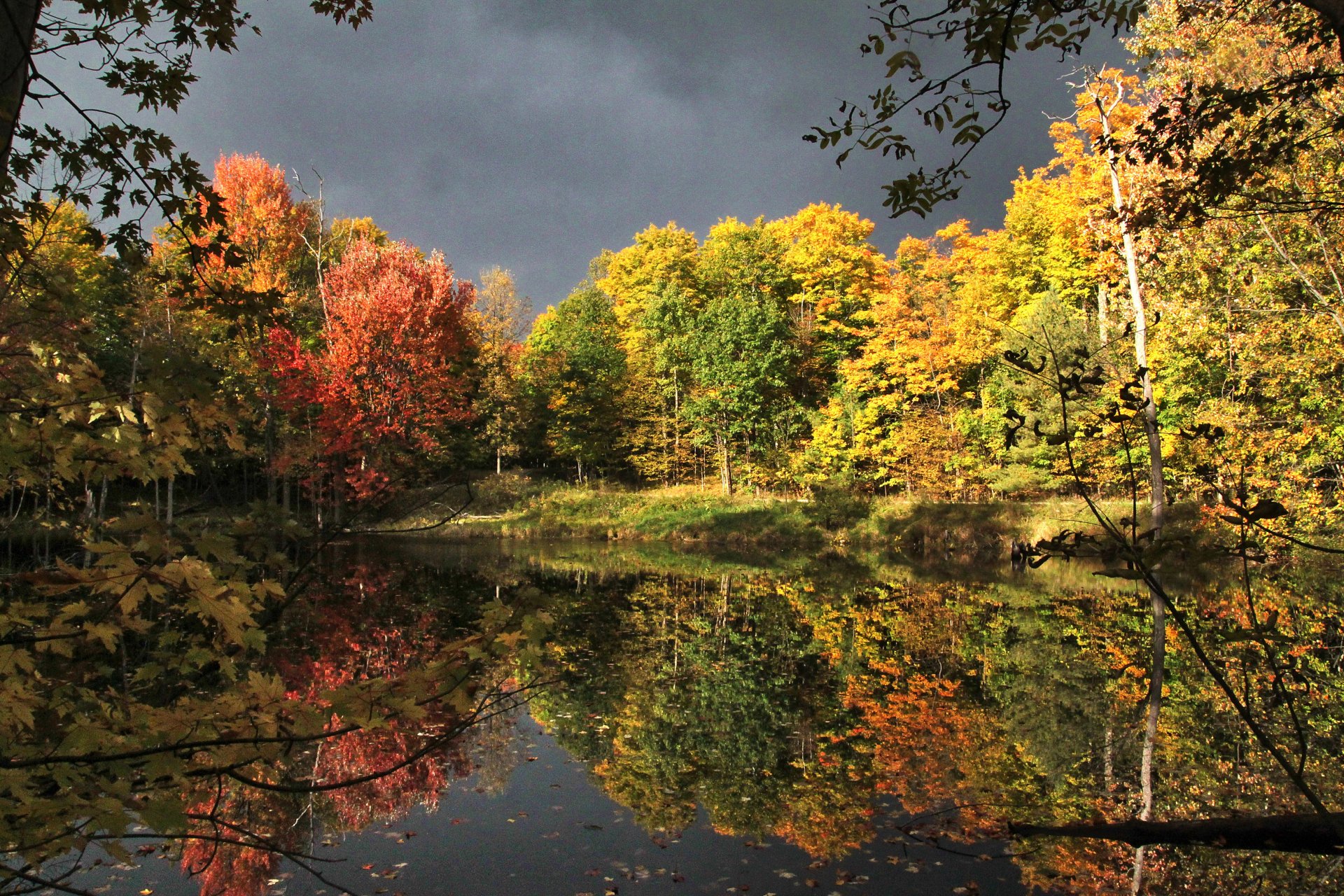 Download Nature Reflection 4k Ultra HD Wallpaper