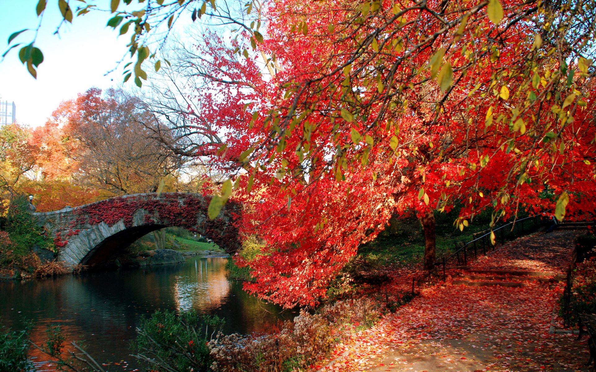 HD desktop wallpaper featuring a vibrant autumn scene with a man-made stone bridge over a calm river, surrounded by colorful fall foliage and a leaf-covered path.
