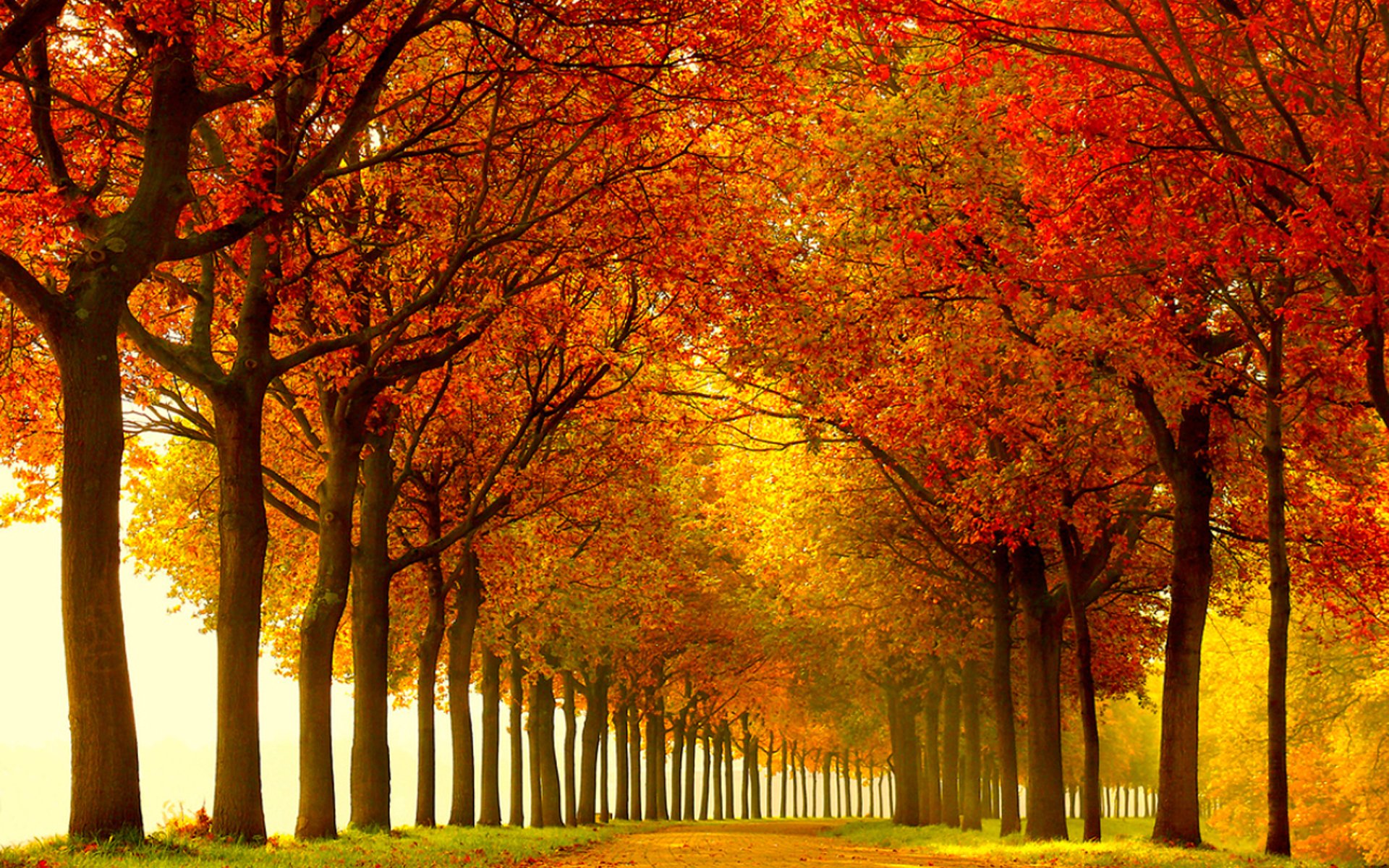 Осень очень красива. Красивая осень. Природа осень. Яркая осень. Яркий осенний пейзаж.
