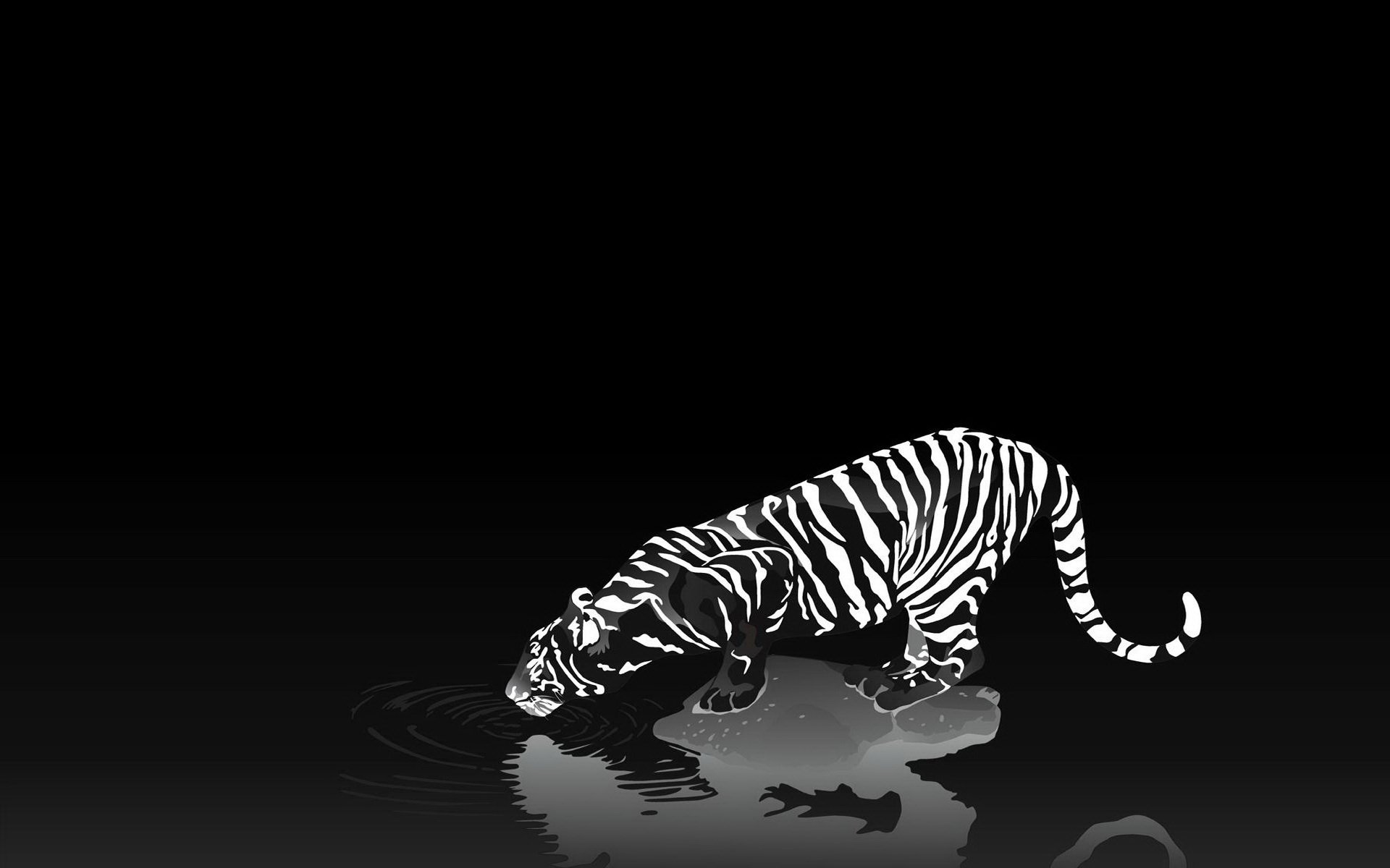 HD PC desktop wallpaper featuring a striking black and white tiger drinking water against a dark background.
