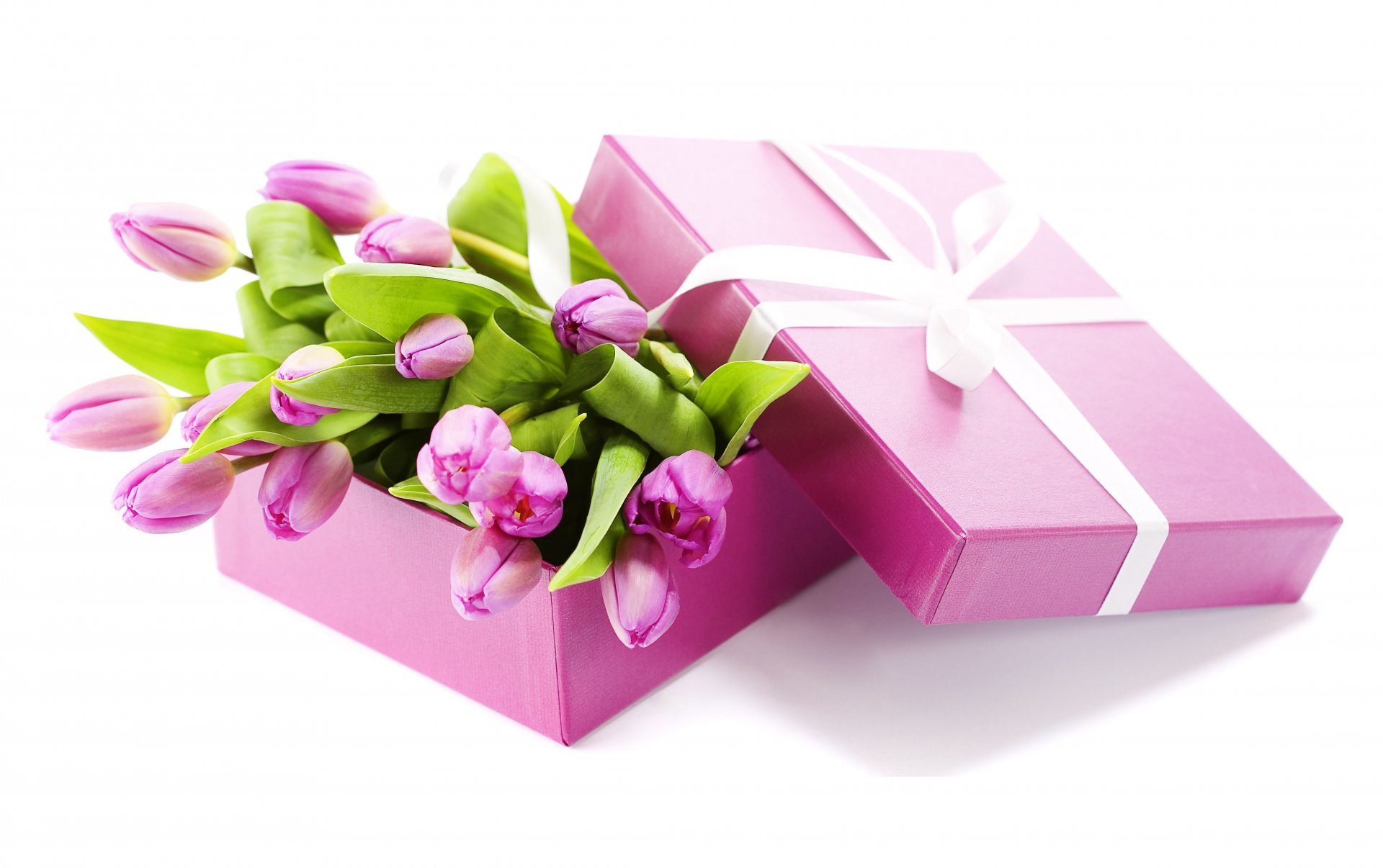 A vibrant 4K Ultra HD wallpaper featuring a pink gift box partially open, adorned with white ribbon, revealing lush purple tulips inside, symbolizing beauty and celebration.
