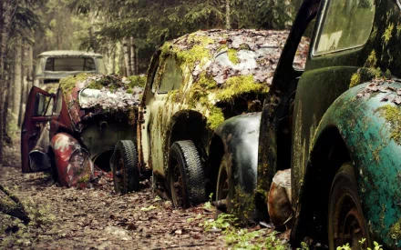 A serene forest scene featuring a row of abandoned, moss-covered vehicles, many in various states of decay, creating an intriguing contrast with nature. HD PC desktop wallpaper.