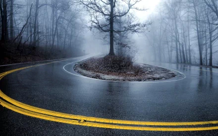HD desktop wallpaper featuring a curving road with yellow lines on a foggy, tree-lined landscape.