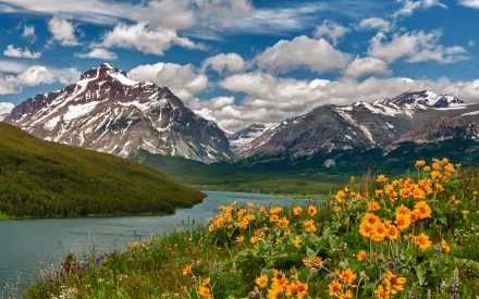 A vibrant landscape showcasing a serene river surrounded by mountains, adorned with blooming yellow flowers under a bright blue sky and fluffy clouds. A stunning nature HD desktop wallpaper.