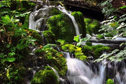 HD PC wallpaper showcasing a serene nature scene with a flowing stream cascading over moss-covered rocks amidst lush green foliage.