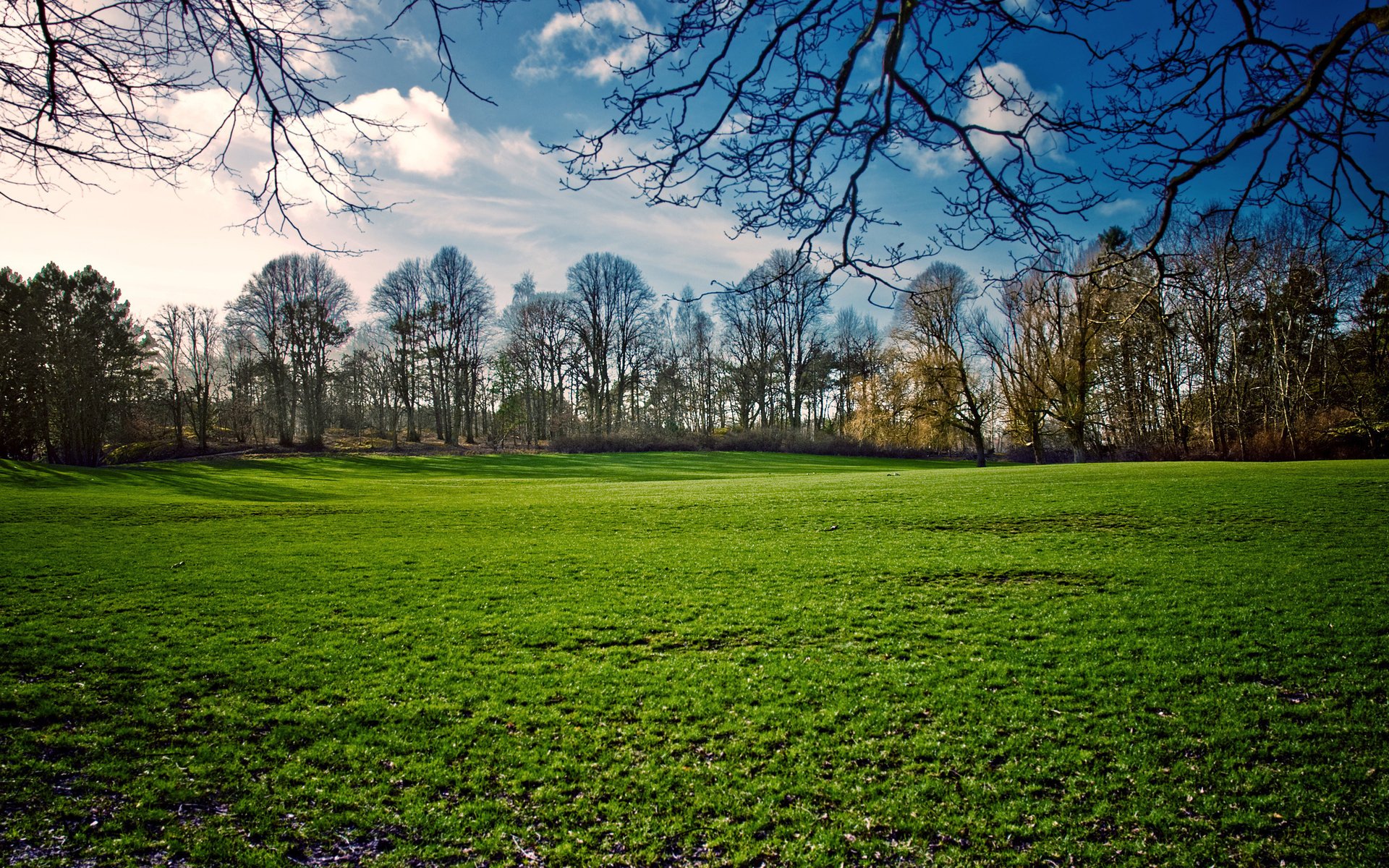 Nature forest HD PC desktop wallpaper and background: wide green meadow bordered by a mixed forest of bare and leafy trees beneath a bright blue sky with scattered clouds.