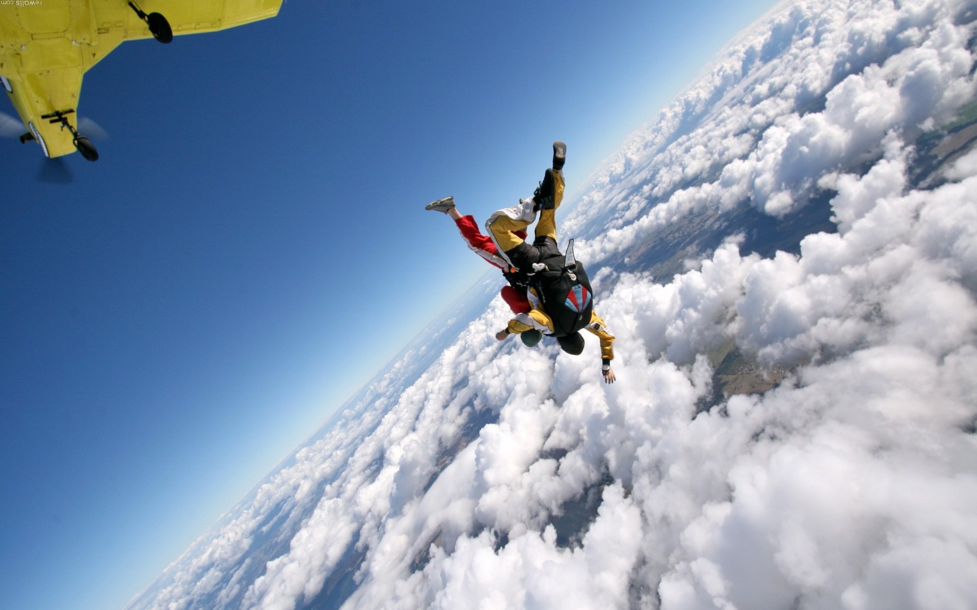 Skydiving HD Wallpaper | Background Image | 2560x1600 | ID:351573