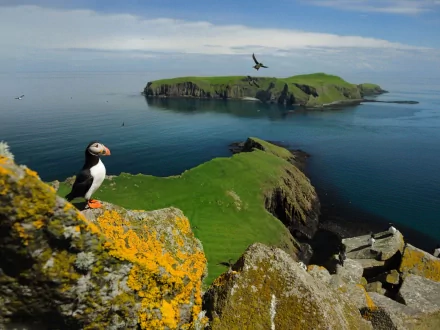 HD PC desktop wallpaper featuring a puffin perched on a moss-covered cliff overlooking a calm sea and distant green islands under a partly cloudy sky.