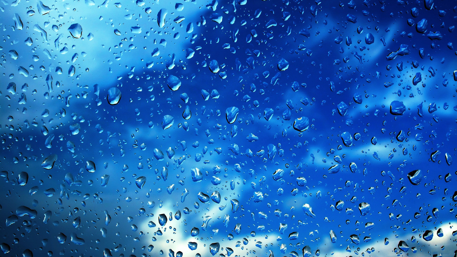 Photography Raindrops HD Wallpaper | Background Image