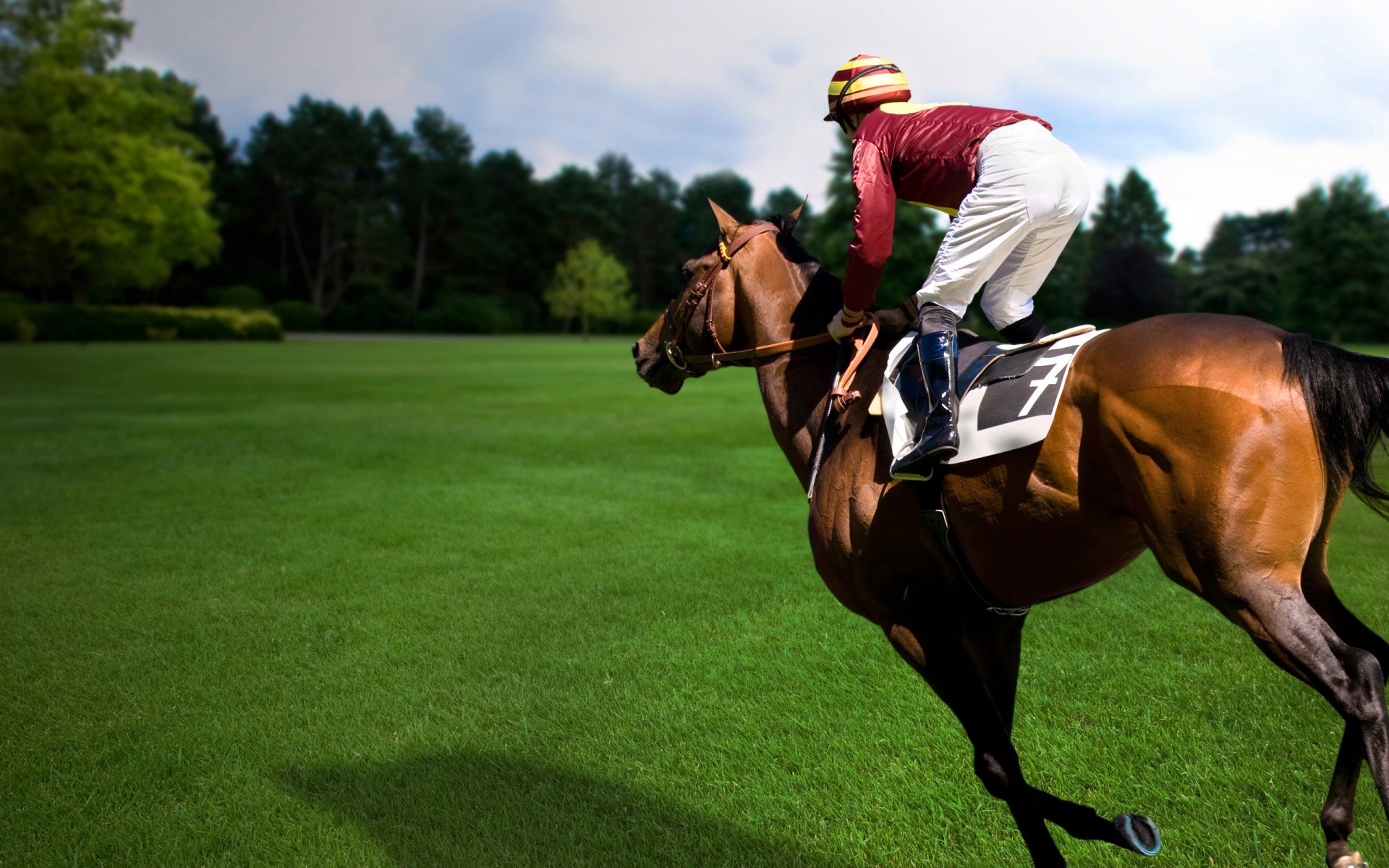 Horse Racing Full HD Wallpaper and Background Image | 2560x1600 | ID:352345