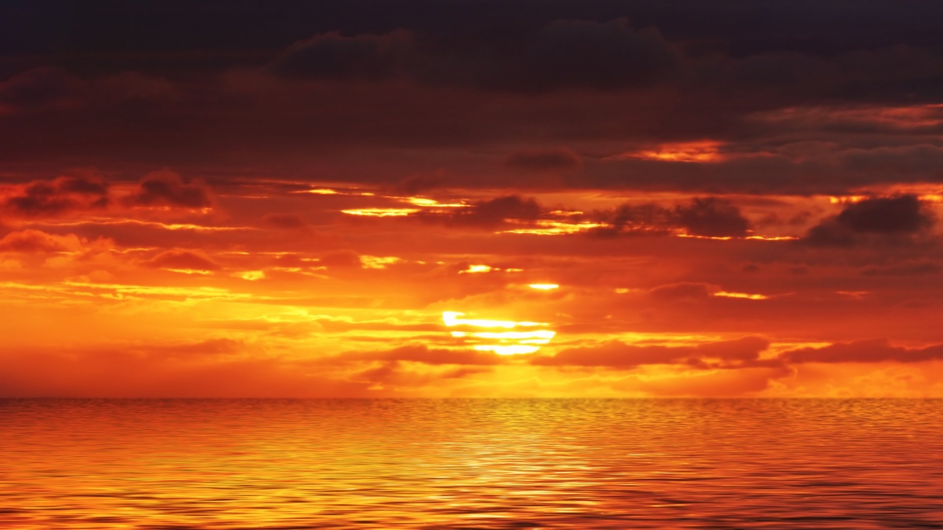 Download Nature Sunset HD Wallpaper | 1920x1080 | Wallpaper Abyss