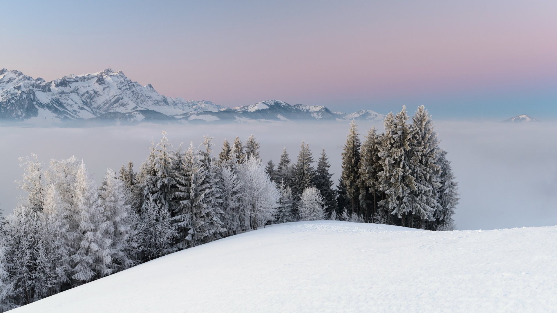 HD PC desktop wallpaper featuring a serene winter landscape with snow-covered trees and distant mountains under a soft pastel sky.