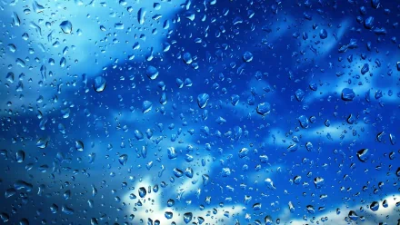 photography raindrops HD Desktop Wallpaper | Background Image
