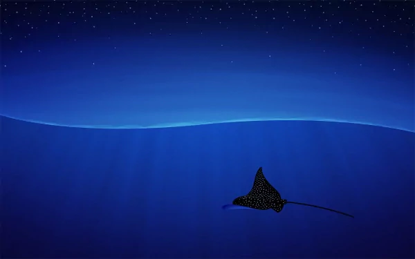 Animal manta ray HD Desktop Wallpaper | Background Image