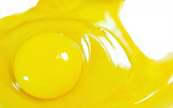 Close-up HD desktop wallpaper of a bright yellow raw egg yolk and surrounding egg white, showcasing vivid food textures.