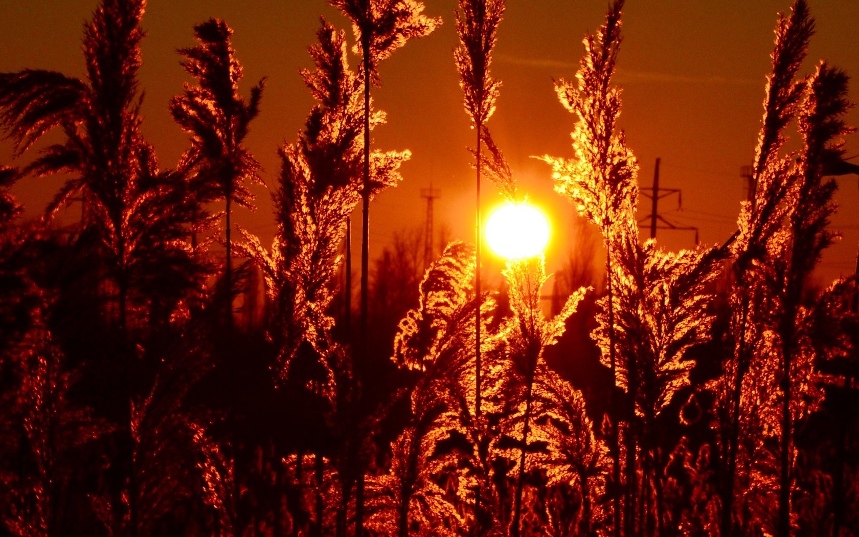 Download Nature Sunset Wallpaper