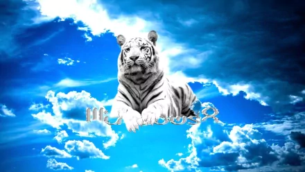 A majestic white tiger lounges against a vibrant sky filled with clouds, creating a stunning HD desktop wallpaper and background.