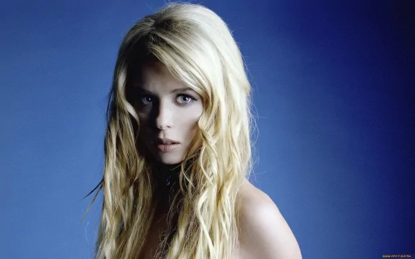 A striking HD wallpaper featuring Tara Reid with long blonde hair, set against a vibrant blue background, capturing her captivating presence.