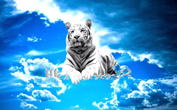 A majestic white tiger lounges against a vibrant sky filled with clouds, creating a stunning HD desktop wallpaper and background.