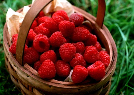 Close-up of ripe raspberries in a woven basket on grass; vibrant food image, 2K Quad HD PC desktop wallpaper and background.