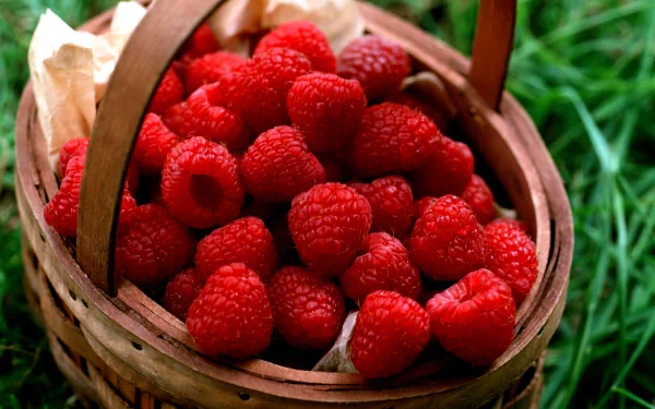 Close-up of ripe raspberries in a woven basket on grass; vibrant food image, 2K Quad HD PC desktop wallpaper and background.