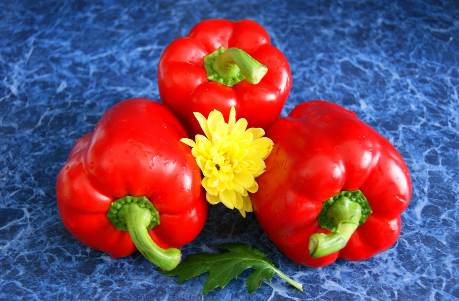HD desktop wallpaper featuring three vibrant red bell peppers and a yellow flower arranged on a textured blue surface, highlighting fresh food and colorful peppers.