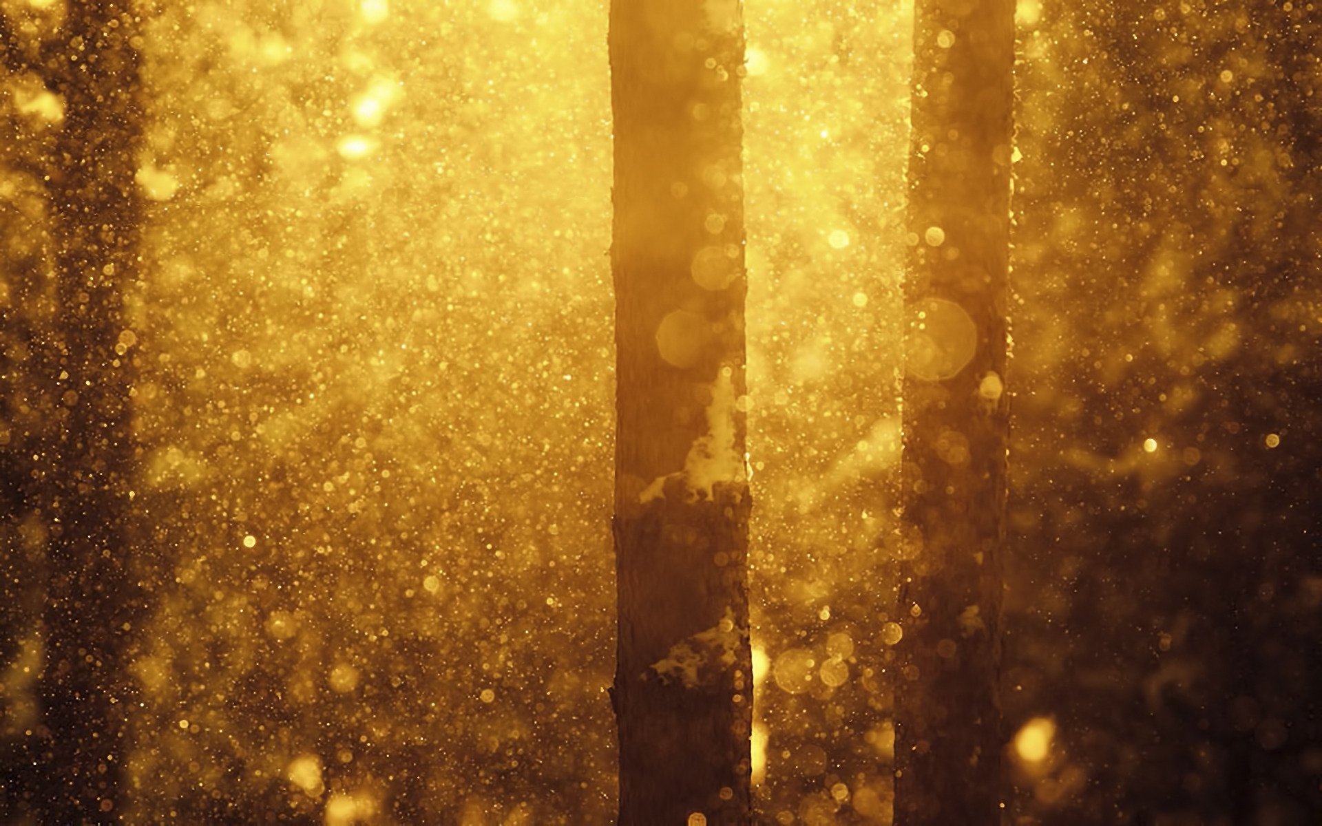 Download Nature Sunbeam HD Wallpaper