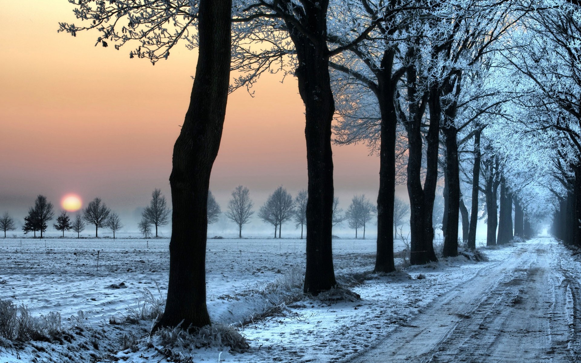 A serene winter road lined with bare trees, with the sun setting in the background, creating a tranquil HD desktop wallpaper and background.