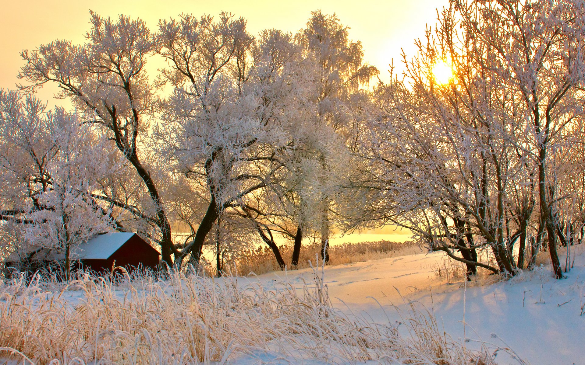 HD desktop wallpaper featuring a man-made cabin nestled among snow-covered trees at sunrise in a serene winter landscape.