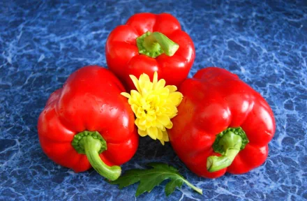 HD desktop wallpaper featuring three vibrant red bell peppers and a yellow flower arranged on a textured blue surface, highlighting fresh food and colorful peppers.