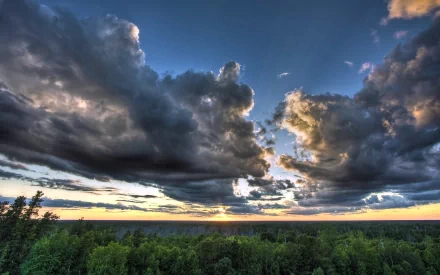 Stunning HD nature wallpaper featuring dramatic clouds over a vibrant green forest, creating a serene and captivating background.