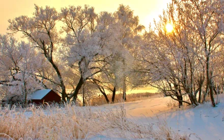 HD desktop wallpaper featuring a man-made cabin nestled among snow-covered trees at sunrise in a serene winter landscape.