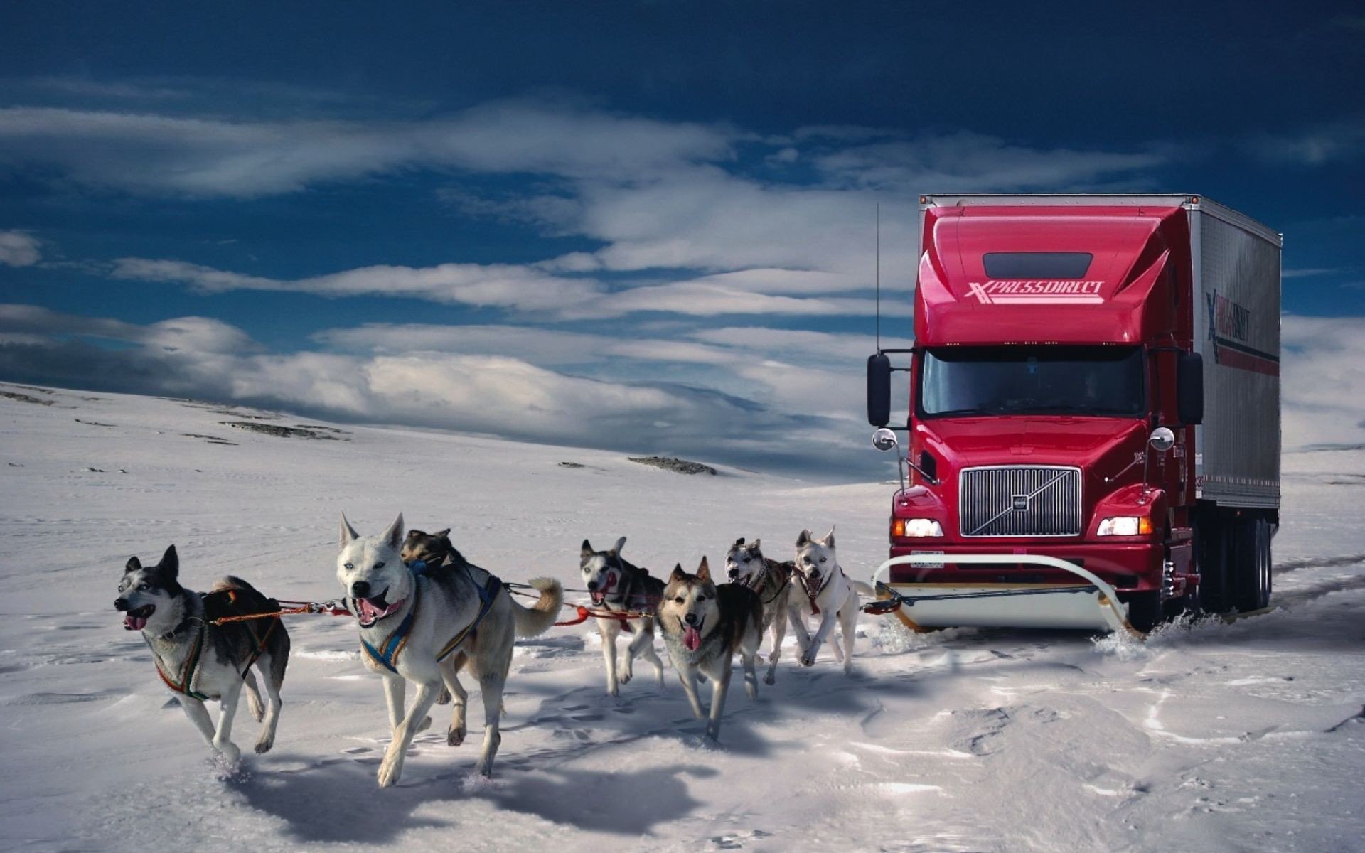 A team of huskies pulls a red truck across a snowy landscape under a dramatic sky, creating a striking and adventurous HD desktop wallpaper.