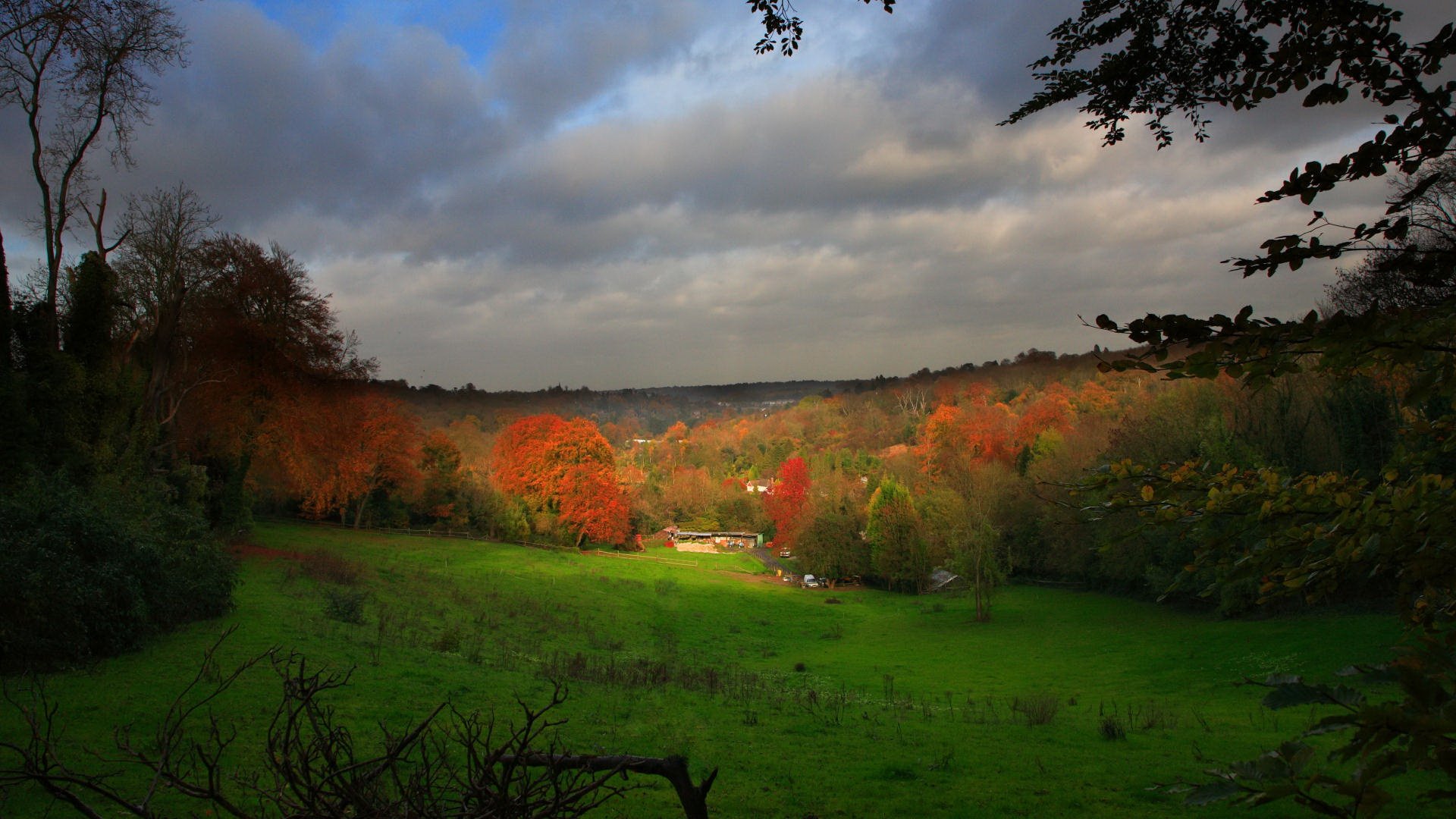 HD PC desktop wallpaper background: fall nature scene with sunlit green meadow, vibrant orange and red trees under a moody cloudy sky.