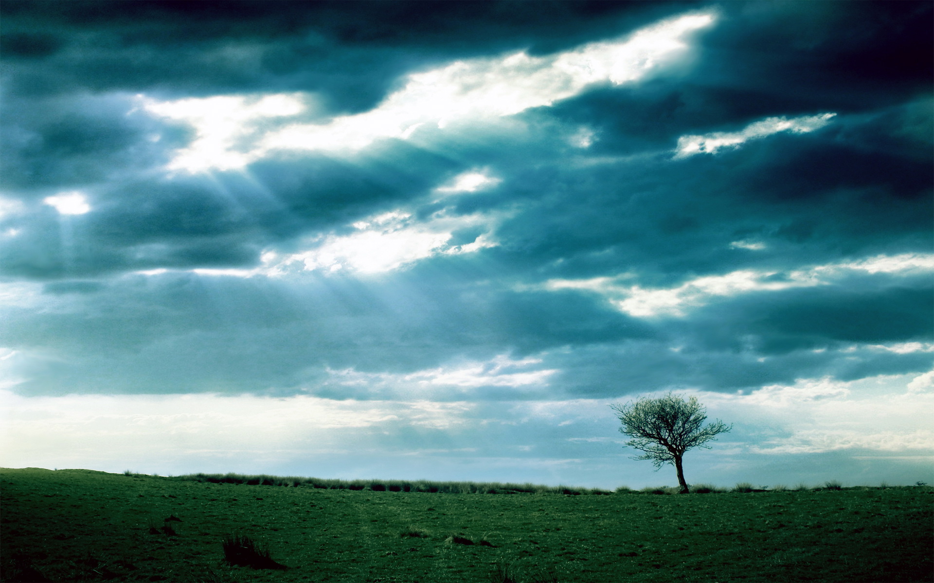 Sunbeam HD Wallpaper Background Image 1920x1200 ID 357330 Wallpaper Abyss