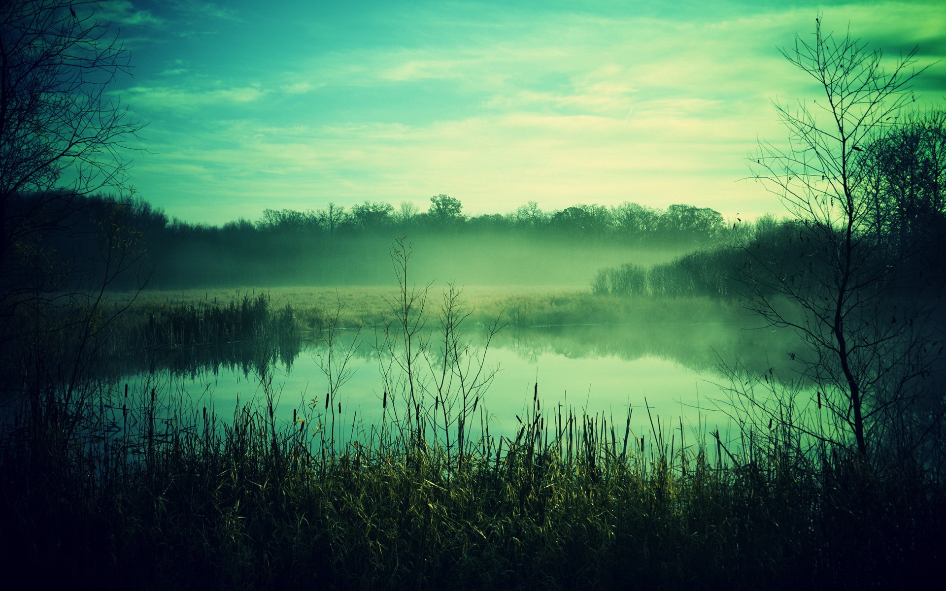 Brouillard fond d cran hd image 1920x1200