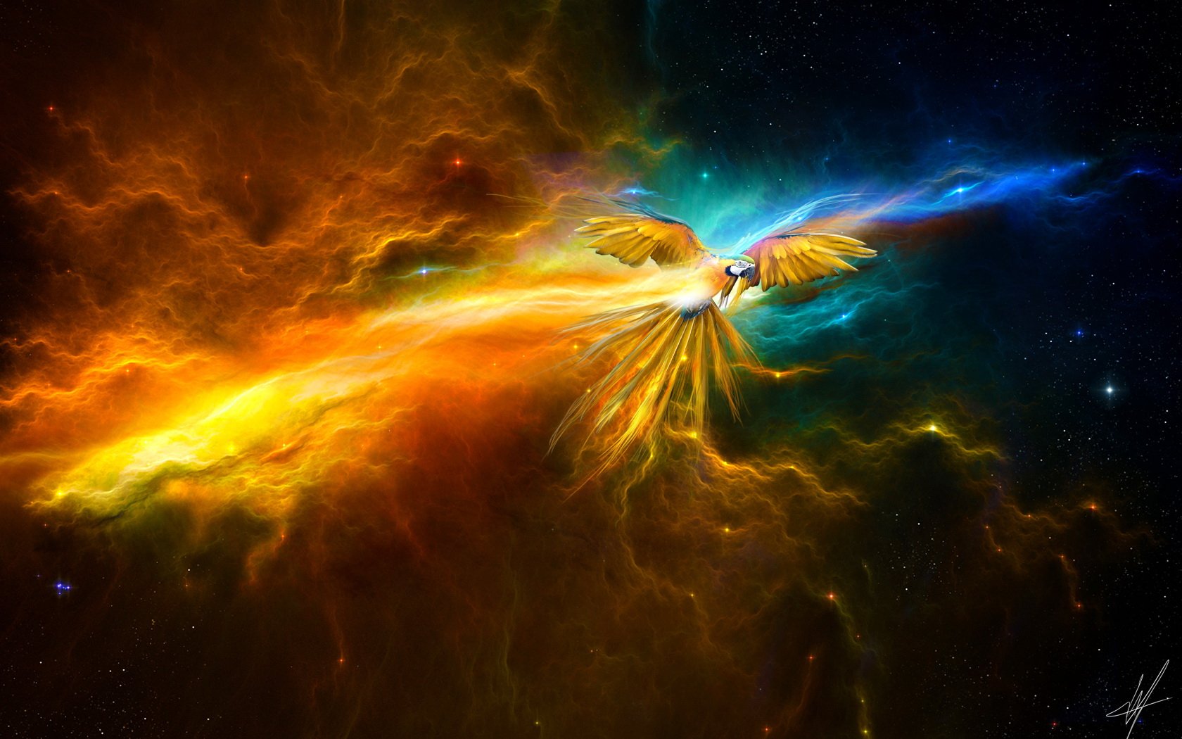 Download Animal Blue-and-yellow Macaw Wallpaper