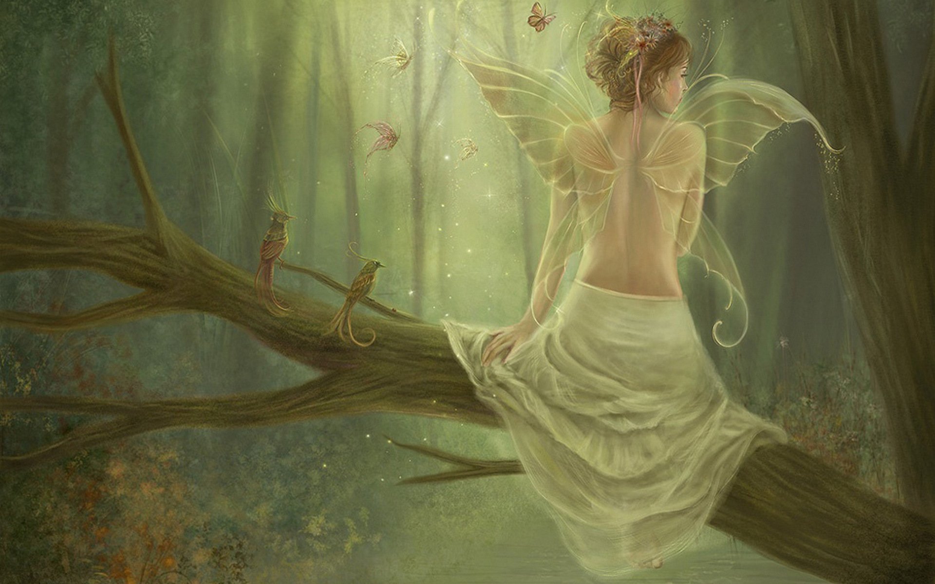 Fairy Full HD Wallpaper and Background Image | 1920x1200 | ID:357592