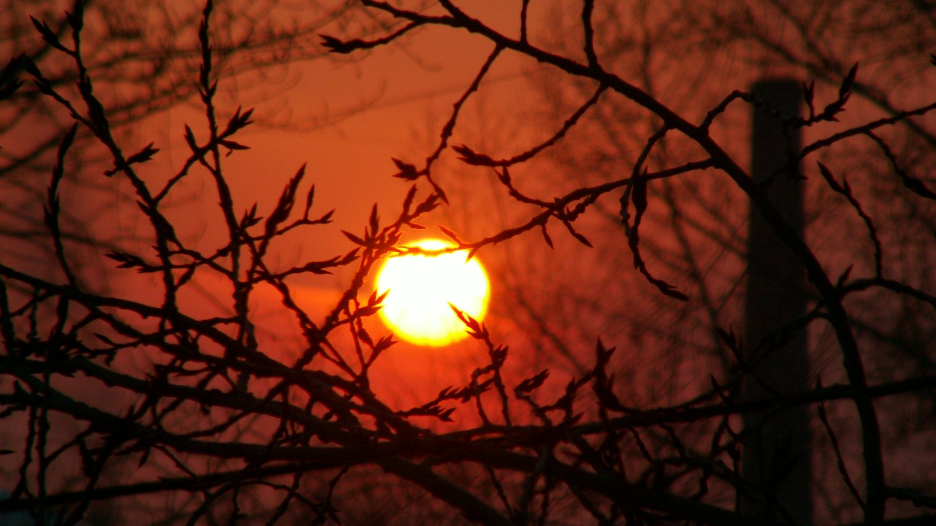 Download Nature Sunset HD Wallpaper