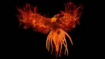 A vibrant phoenix rises from flames, its vivid wings spread wide against a dark background, creating a striking fantasy-themed HD wallpaper for PC desktops.